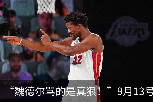 “魏德尔骂的是真狠！”9月13号，魏德尔在奥地利电视台放话：