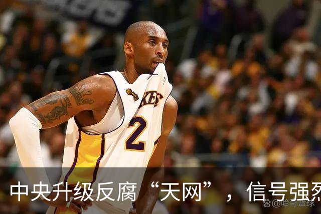 中央升级反腐“天网”，信号强烈！