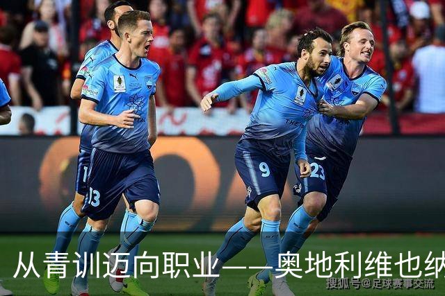 从青训迈向职业——奥地利维也纳足球俱乐部如何念好“青训经”