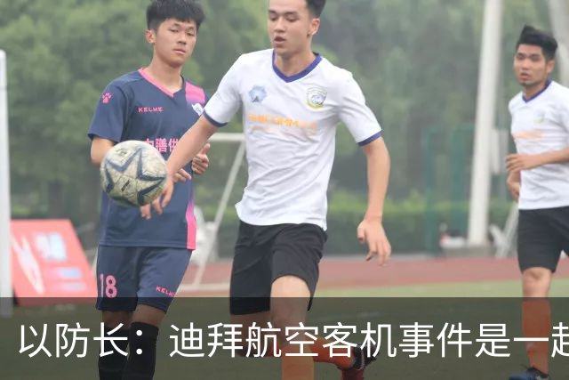 以防长：迪拜航空客机事件是一起“未遂恐怖袭击”