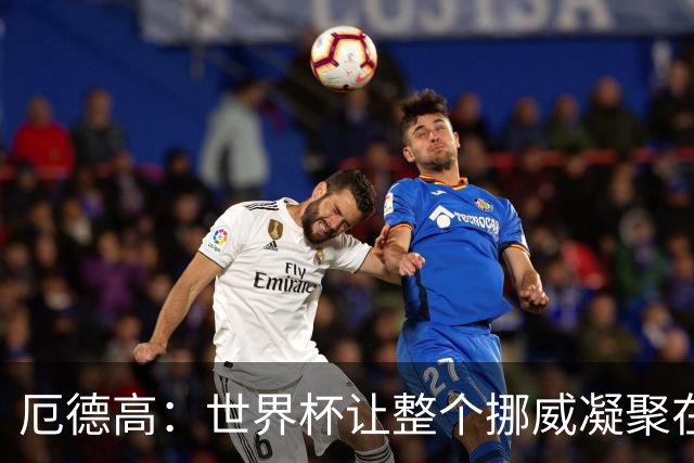 厄德高：世界杯让整个挪威凝聚在一起，我们的成就比预想要好
