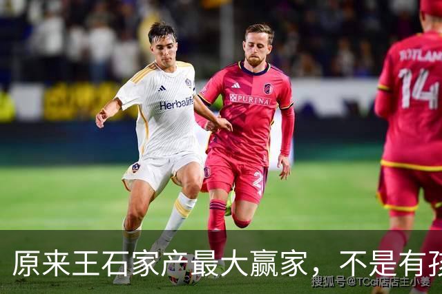 原来王石家产最大赢家，不是有孩子的田朴珺，而是不露面的大女儿