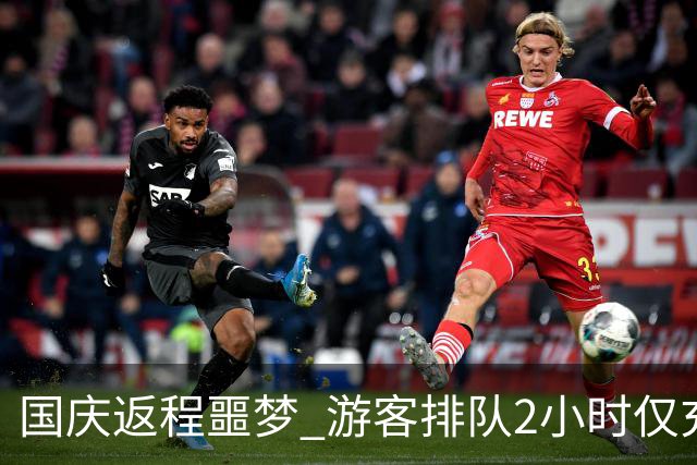 国庆返程噩梦 游客排队2小时仅充电10分钟：遇充电桩故障还要重新排队