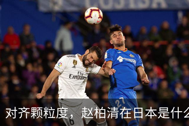 对齐颗粒度，赵柏清在日本是什么水平？