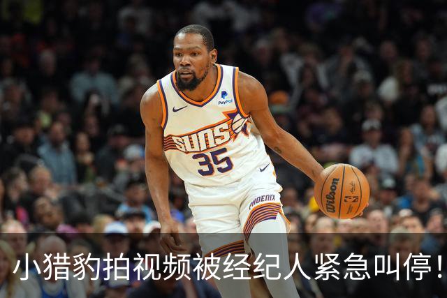 小猎豹拍视频被经纪人紧急叫停！