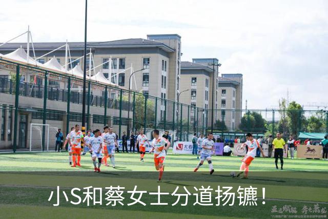 小S和蔡女士分道扬镳！