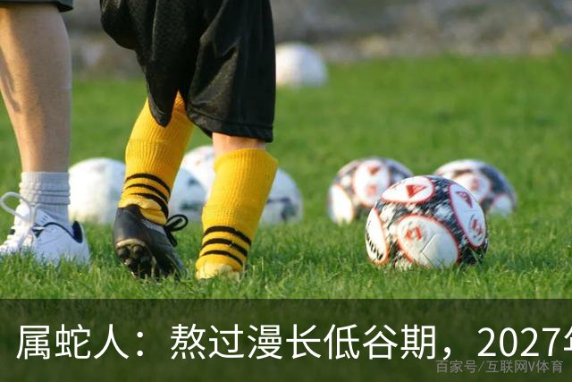 属蛇人：熬过漫长低谷期，2027年日子慢慢回暖福气自来