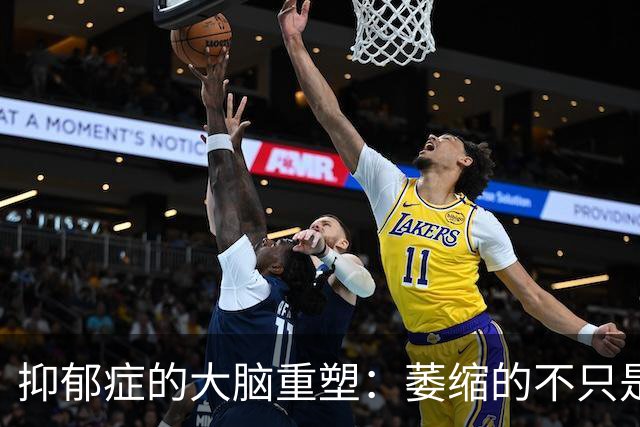 抑郁症的大脑重塑：萎缩的不只是情绪区