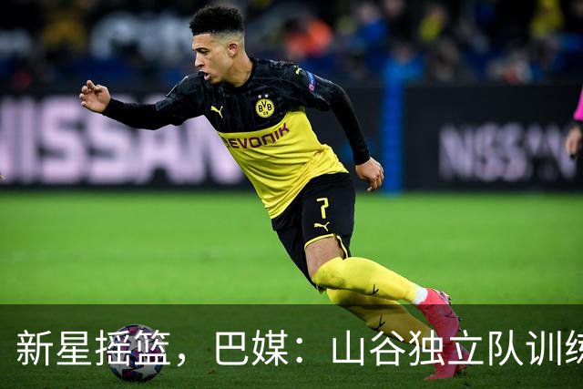 新星摇篮，巴媒：山谷独立队训练中心已累计投入超1000万美元
