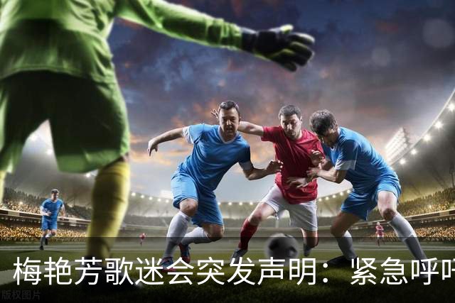 梅艳芳歌迷会突发声明：紧急呼吁，合力寻找梅艳芳骨灰；骨灰不在存放位置，报警求助至今三个月仍未有进展！