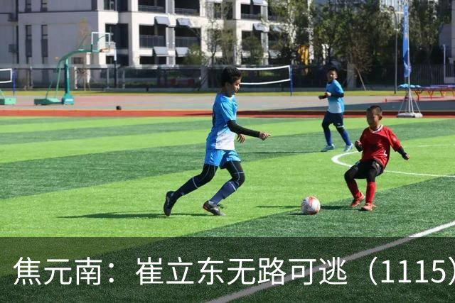 焦元南：崔立东无路可逃（11/15）