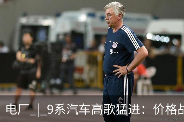 电厂 | 9系汽车高歌猛进：价格战渗透低至20万，产品线整合契机