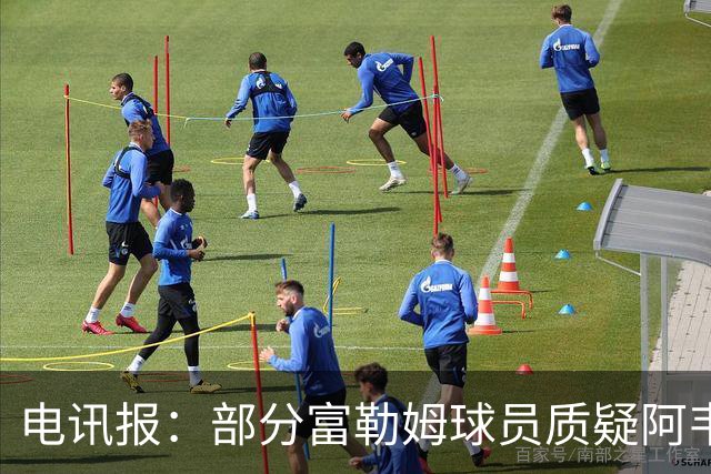 电讯报：部分富勒姆球员质疑阿韦洛亚战术，后者面临信任危机