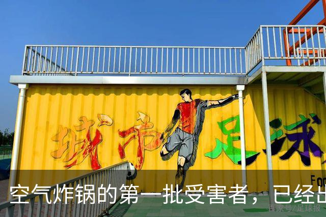 空气炸锅的第一批受害者，已经出现了！