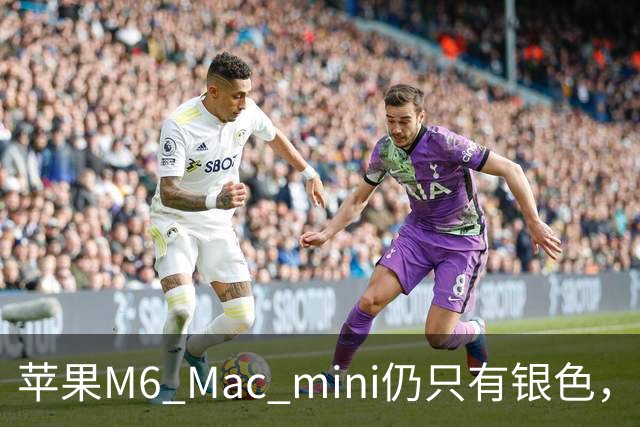 苹果M6 Mac mini仍只有银色，贴膜成为个性化选择