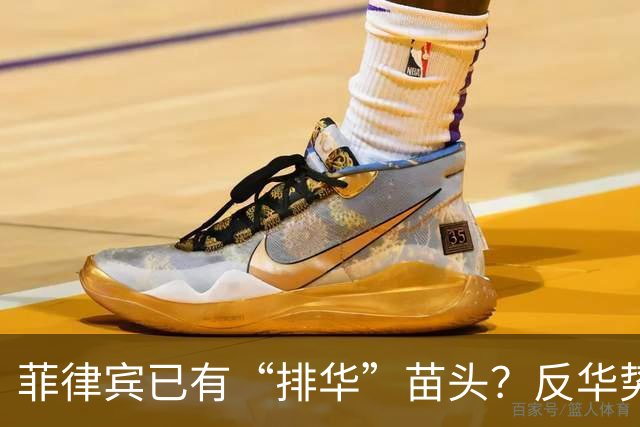 菲律宾已有“排华”苗头？反华势力无法无天，中国得做最坏打算了