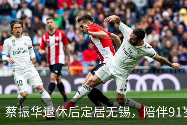 蔡振华退休后定居无锡，陪伴91岁老母亲，日常买菜炖汤，偶尔去少年宫免费教小朋友打球；国际乒联百年功勋奖授予他，他没有亲自赴伦敦领奖