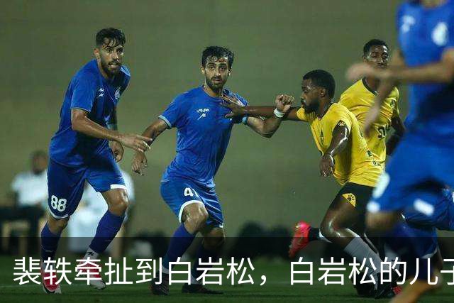 裴轶牵扯到白岩松，白岩松的儿子在英国读蒙古史，回国到中央民族大学任教