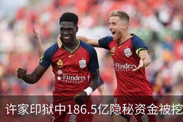 许家印狱中186.5亿隐秘资金被挖！没有转给丁玉梅，接手另有其人