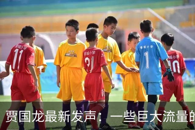 贾国龙最新发声：一些巨大流量的账号，在互联网上煽动舆论、挂人引战