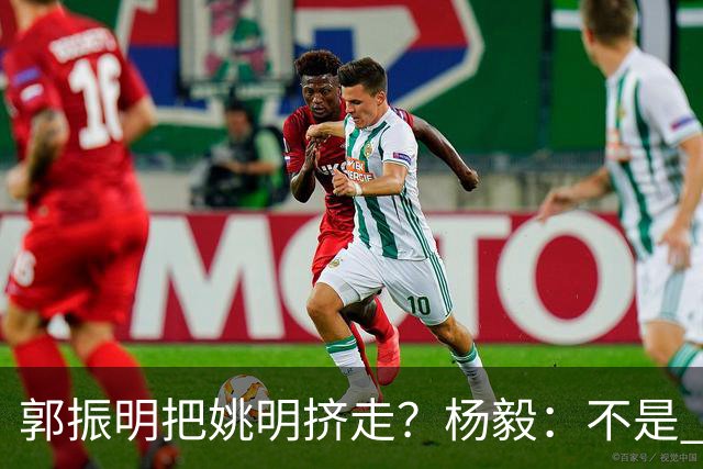 郭振明把姚明挤走？杨毅：不是 之前一个书记 一个主席 互相配合
