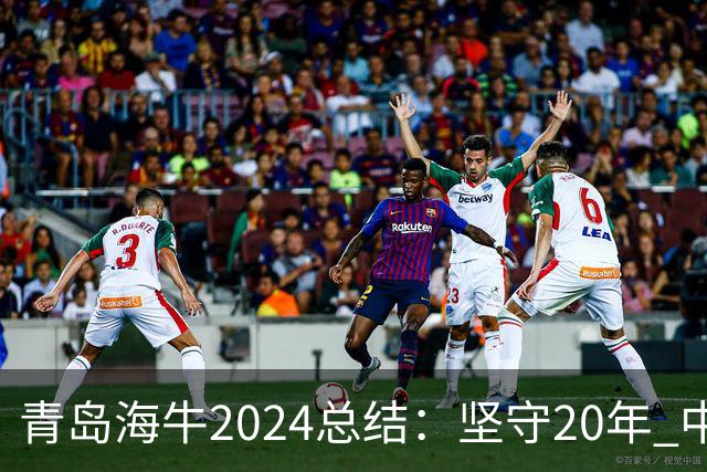 青岛海牛2024总结：坚守20年 中能的拼争与困境