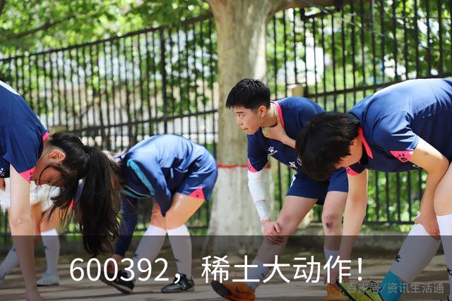 600392，稀土大动作！